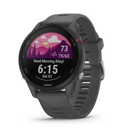 Смарт-годинник Garmin Forerunner 255 Slate Gray (010-02641-00/10) 1 Смарт-годинник Garmin Forerunner 255 Slate Gray (010-02641-00/10)