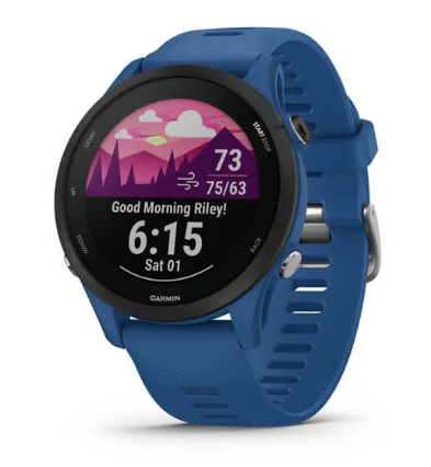 Смарт-годинник Garmin Forerunner 255 Tidal Blue (010-02641-01/11) 1 Смарт-годинник Garmin Forerunner 255 Tidal Blue (010-02641-01/11)