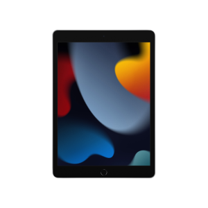 iPad 10.2 2021 Wi-Fi 256GB Silver (MK2P3)